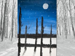 Paesaggio notturno invernale