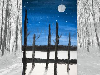 Paesaggio notturno invernale