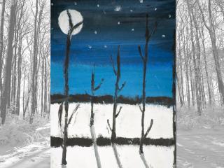 Paesaggio notturno invernale