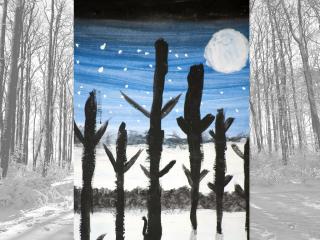 Paesaggio notturno invernale