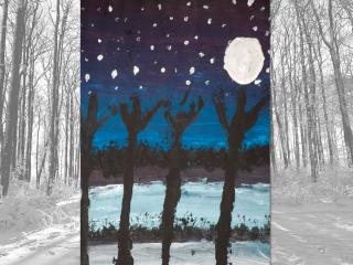 Paesaggio notturno invernale