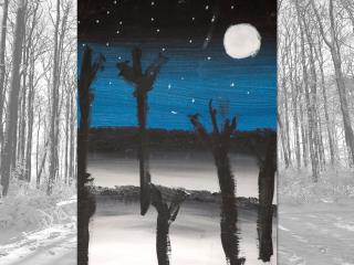 Paesaggio notturno invernale