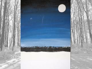 Paesaggio notturno invernale