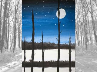 Paesaggio notturno invernale