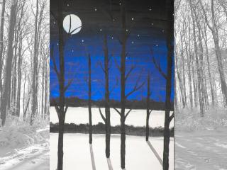 Paesaggio notturno invernale