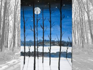 Paesaggio notturno invernale