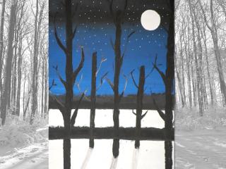 Paesaggio notturno invernale