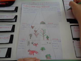 Il lapbook delle Alpi