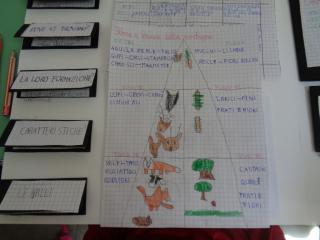 Il lapbook delle Alpi
