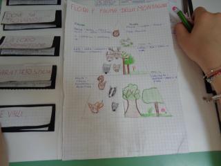 Il lapbook delle Alpi