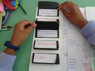 Il lapbook delle Alpi