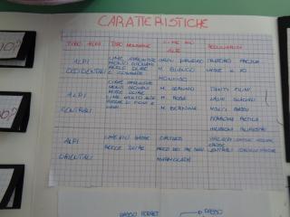 Il lapbook delle Alpi