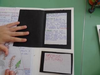 Il lapbook delle Alpi