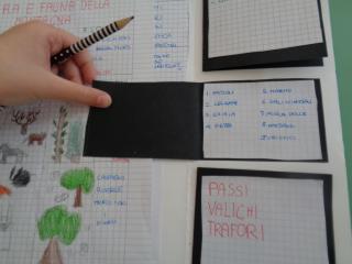 Il lapbook delle Alpi