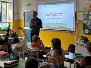 Il vestito degli uccelli