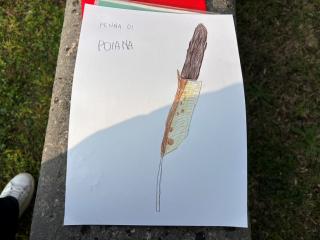 Il vestito degli uccelli