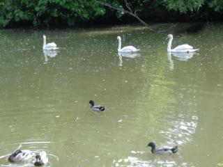 Al Parco Valle del Menago