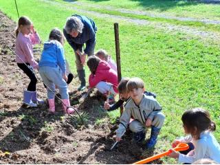 Prosegue il laboratorio "Orto didattico"