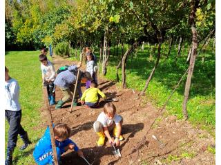 Prosegue il laboratorio "Orto didattico"