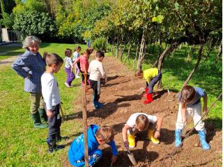 Prosegue il laboratorio "Orto didattico"