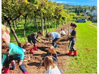 Prosegue il laboratorio "Orto didattico"