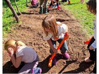 Prosegue il laboratorio "Orto didattico"
