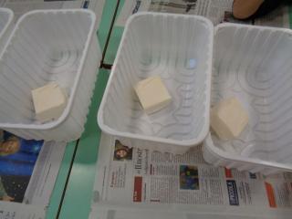 Laboratorio “Palle di semi”