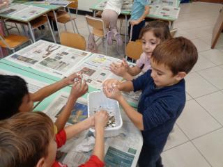 Laboratorio “Palle di semi”