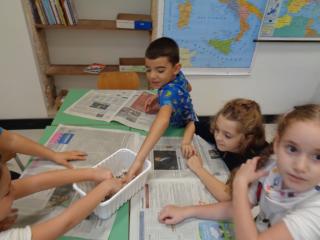 Laboratorio “Palle di semi”