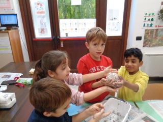 Laboratorio “Palle di semi”