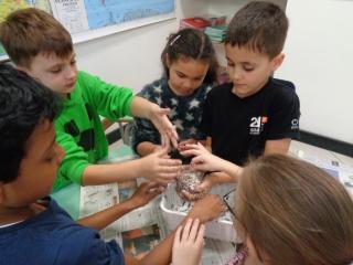 Laboratorio “Palle di semi”