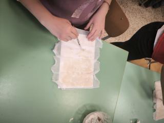 Laboratorio in classe: il papiro egizio