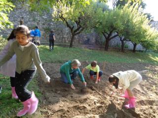 Laboratorio Orto didattico