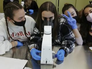 Le cellule al microscopio