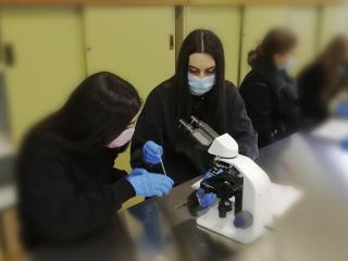 Le cellule al microscopio