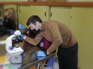 Le cellule al microscopio