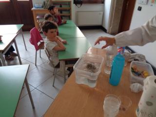 "Mi presento: sono l'acqua"