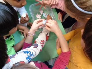 "Mi presento: sono l'acqua"