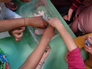 "Mi presento: sono l'acqua"