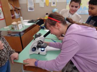 Laboratorio scientifico Micro-Lab