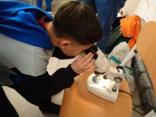 Laboratorio scientifico Micro-Lab