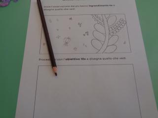 Laboratorio scientifico Micro-Lab