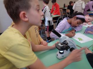 Laboratorio scientifico Micro-Lab