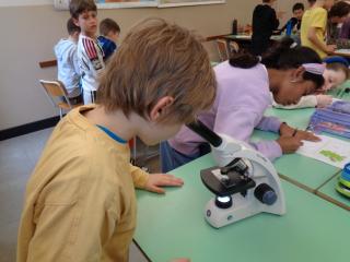 Laboratorio scientifico Micro-Lab