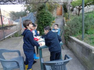 Attività laboratoriale: orto didattico