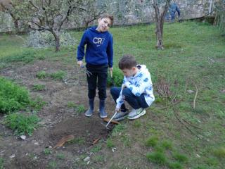 Attività laboratoriale: orto didattico