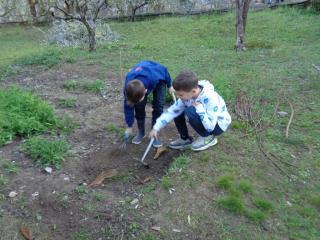 Attività laboratoriale: orto didattico