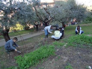 Attività laboratoriale: orto didattico