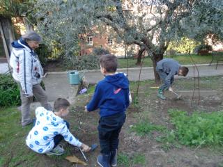 Attività laboratoriale: orto didattico
