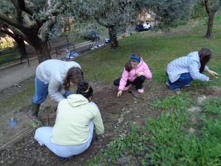 Attività laboratoriale: orto didattico